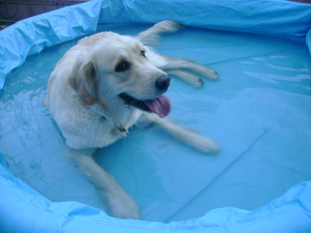 La clave para tener una vida estupenda