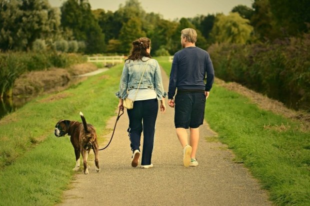 Una pareja pasea a su perro por el campo