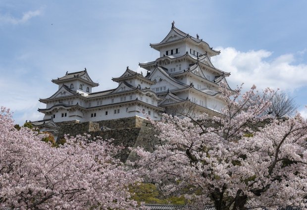 Castillo en Japón con cerezos en flor y cielo azul