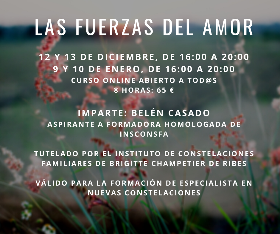 Curso de constelaciones familiares Las fuerzas del amor. 9 y 10 de enero, curso online abierto a todos.