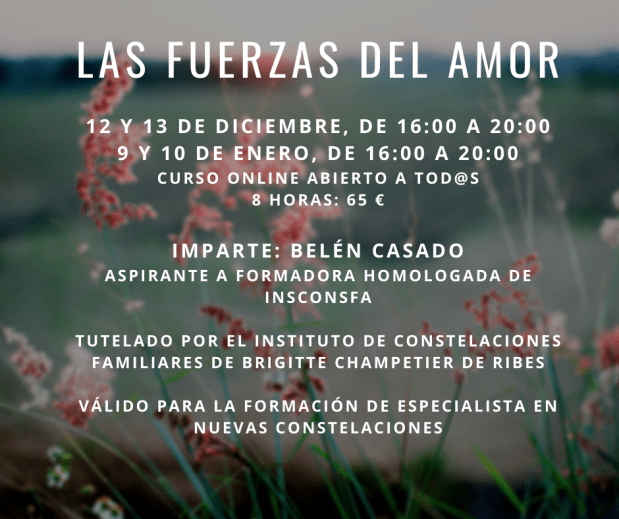 Curso de constelaciones familiares Las fuerzas del amor. 9 y 10 de enero, curso online abierto a todos.